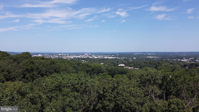 540 Weadley Rd, King Of Prussia, PA 19406 - bird's eye view of a forest