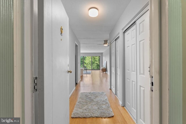 8308 Flower Ave Unit 403, Takoma Park, MD 20912 - corridor with light wood finished floors