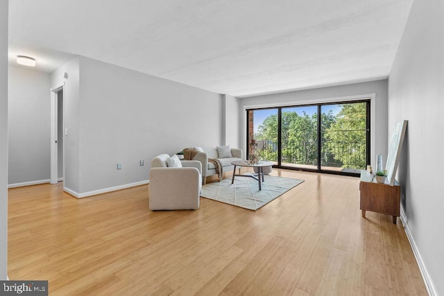 8308 Flower Ave Unit 403, Takoma Park, MD 20912 - living area featuring light wood-type flooring and baseboards
