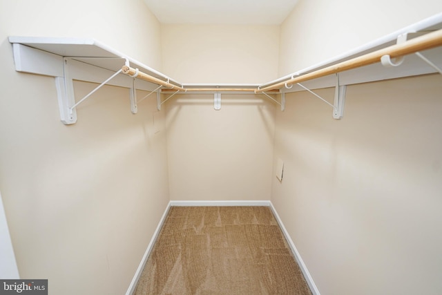 1322 Aspen Dr, Salisbury, MD 21804 - walk in closet with carpet flooring