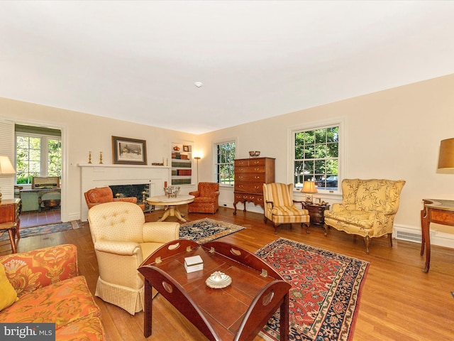 306 Grove Blvd, Frederick, MD 21701 - living area featuring wood finished floors, a fireplace, and healthy amount of natural light