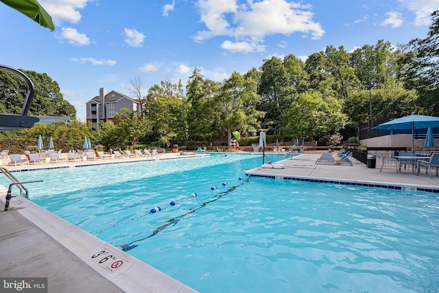 5500 Holmes Run Pkwy Unit 1103, Alexandria, VA 22304 - community pool featuring a patio area and view of scattered trees