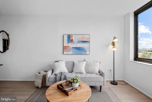 5500 Holmes Run Pkwy Unit 1103, Alexandria, VA 22304 - living room with wood finished floors and baseboards