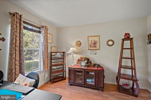119 Prosperity Ave SE Unit C, Leesburg, VA 20175 - office featuring a textured ceiling and light wood-style flooring