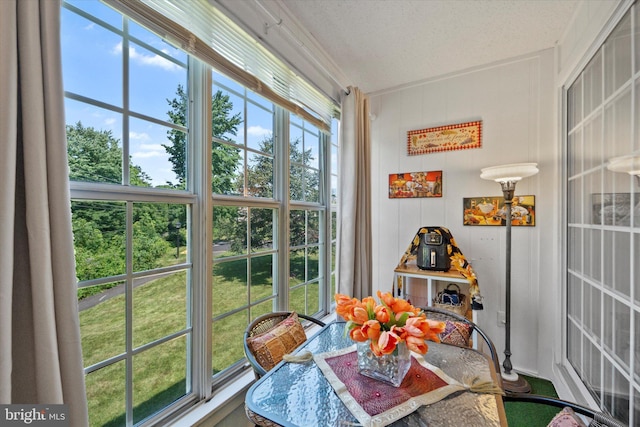 119 Prosperity Ave SE Unit C, Leesburg, VA 20175 - sunroom / solarium featuring plenty of natural light