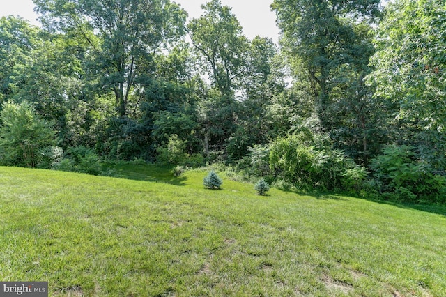 6210 Thornhill Ln, Mechanicsburg, PA 17050 - view of grassy yard