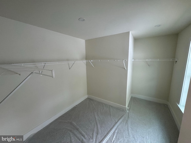 14 Wynn N Rd, Tabernacle, NJ 08088 - spacious closet with carpet