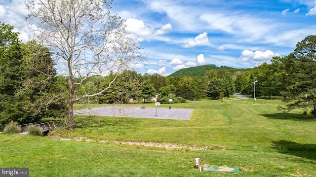 1408 Western Ln, Front Royal, VA 22630 - view of community featuring a lawn and community basketball court