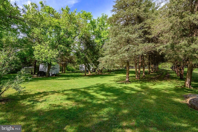 1408 Western Ln, Front Royal, VA 22630 - view of grassy yard