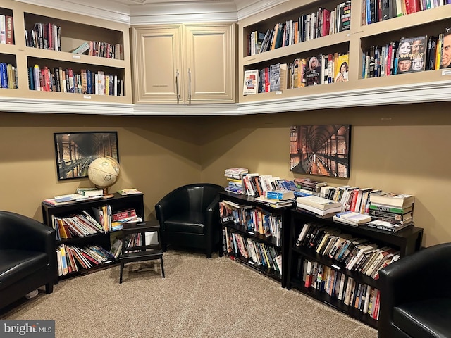 2465 Army Navy Dr Unit 1-302, Arlington, VA 22206 - sitting room featuring carpet flooring and bookshelves