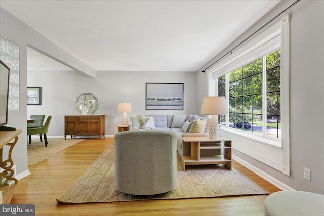 441 Barker Dr, West Chester, PA 19380 - living area with wood finished floors and baseboards
