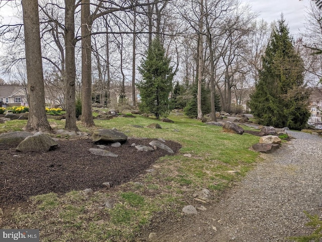 7000 Village Way Unit 408, Boothwyn, PA 19061 - view of yard