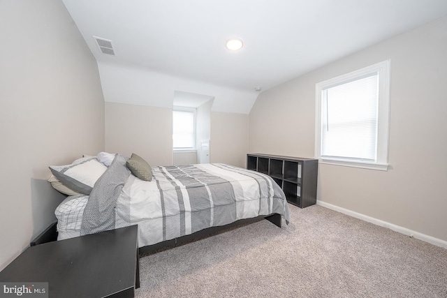 10 Holbrook Rd, Havertown, PA 19083 - carpeted bedroom with lofted ceiling and baseboards