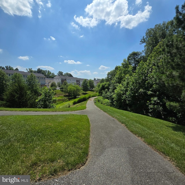 938 Pine Forest Ln Unit 1707, Upper Marlboro, MD 20774 - surrounding community featuring a yard