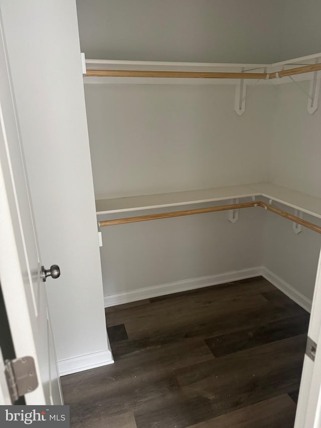 327 Red Bird Ln, Harpers Ferry, WV 25425 - walk in closet with dark wood finished floors