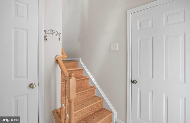 12941 Bridger Dr Unit 1611, Germantown, MD 20874 - staircase with baseboards