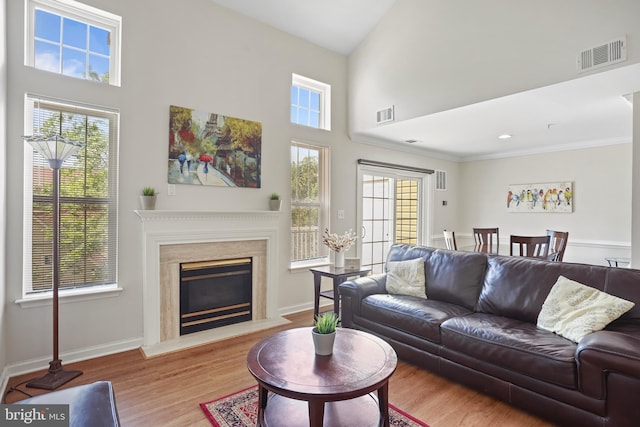12941 Bridger Dr Unit 1611, Germantown, MD 20874 - living room with healthy amount of natural light, a towering ceiling, wood finished floors, and a fireplace