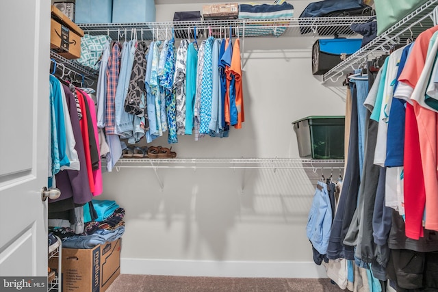 43 Boneset Dr, Gettysburg, PA 17325 - view of spacious closet