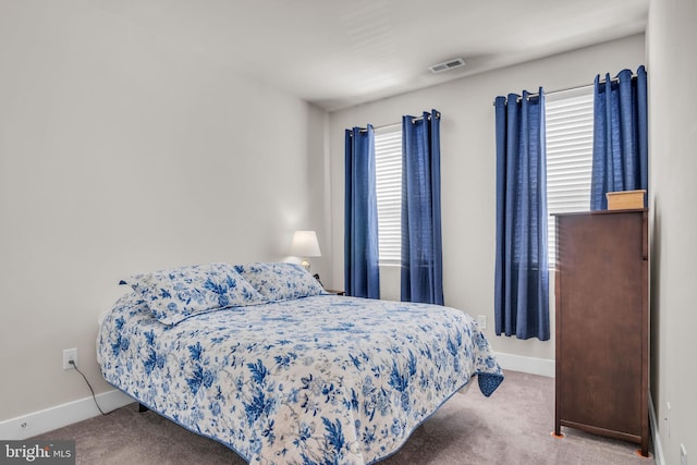 43 Boneset Dr, Gettysburg, PA 17325 - bedroom with carpet flooring and baseboards