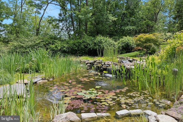 150 Waterview Dr, Glenmoore, PA 19343 - view of undeveloped land