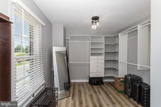 421 Dart Dr, Hanover, PA 17331 - walk in closet with wood finished floors