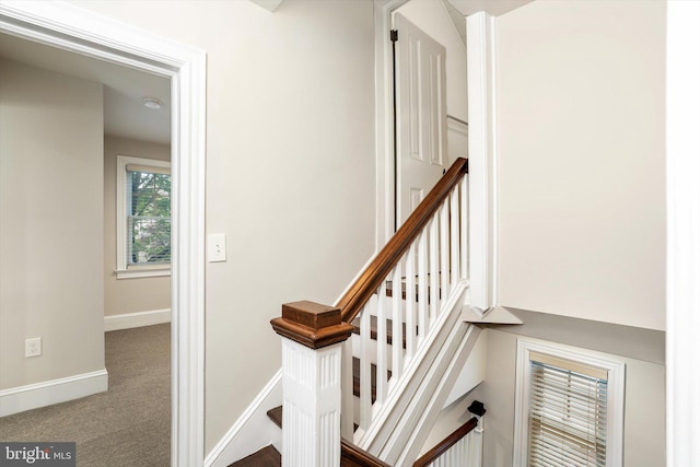 5 Madison St, Princeton, NJ 08542 - staircase featuring baseboards and carpet flooring