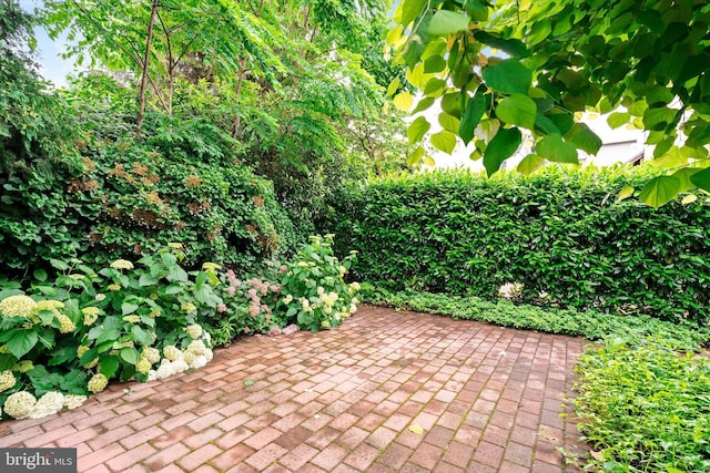 5 Madison St, Princeton, NJ 08542 - view of patio