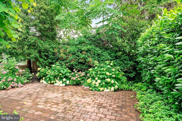 5 Madison St, Princeton, NJ 08542 - view of patio / terrace
