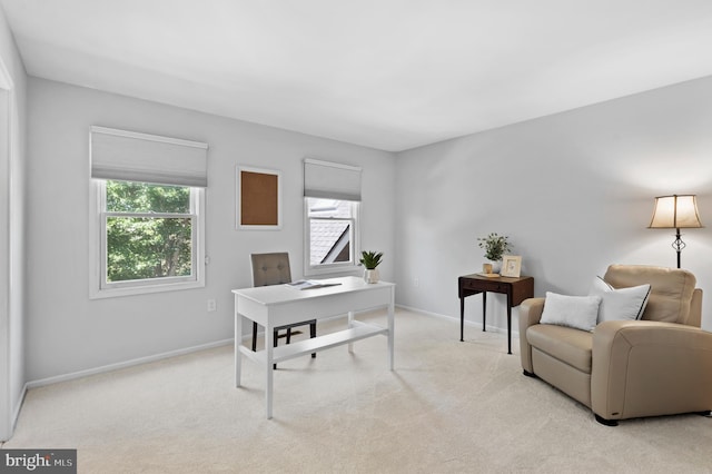 75 Bittersweet Dr, Doylestown, PA 18901 - office featuring light colored carpet and plenty of natural light