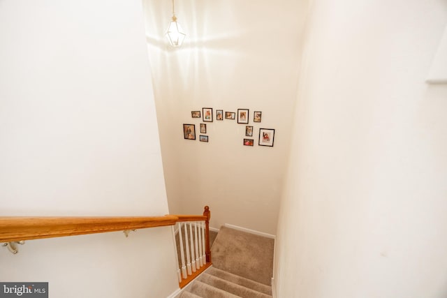 2751 Fynamore Ln, Downingtown, PA 19335 - stairway with carpet floors and baseboards
