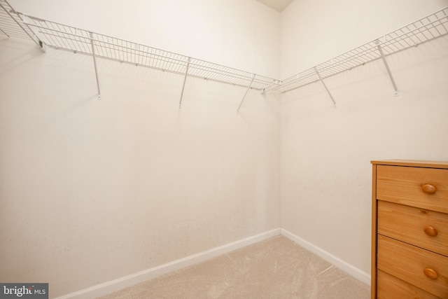 2751 Fynamore Ln, Downingtown, PA 19335 - walk in closet featuring light colored carpet
