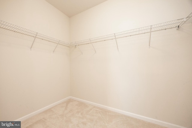2751 Fynamore Ln, Downingtown, PA 19335 - walk in closet featuring light colored carpet
