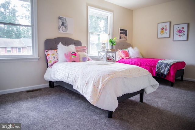 208 Farrell Ln, Fredericksburg, VA 22401 - bedroom with multiple windows and carpet flooring