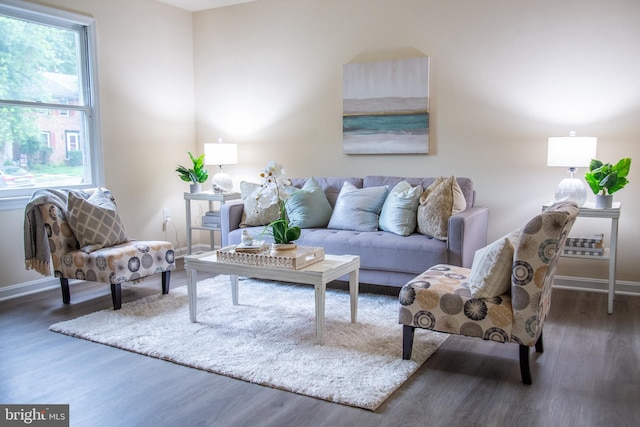 208 Farrell Ln, Fredericksburg, VA 22401 - living room featuring wood finished floors