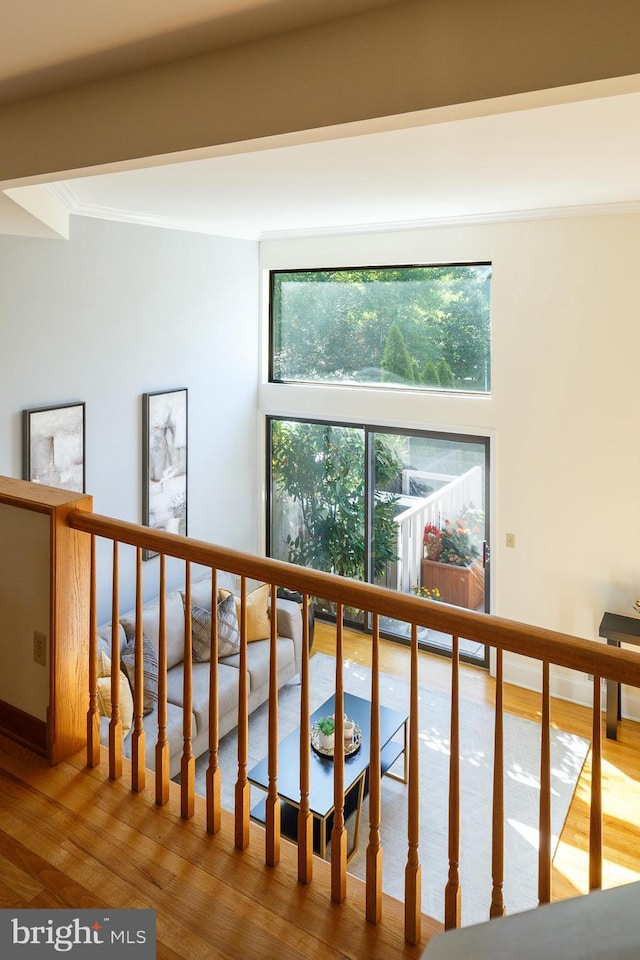 33 Sergeant St, Princeton, NJ 08540 - detailed view of wood finished floors and crown molding