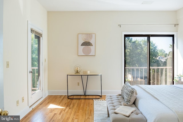 33 Sergeant St, Princeton, NJ 08540 - bedroom with access to outside and light wood finished floors