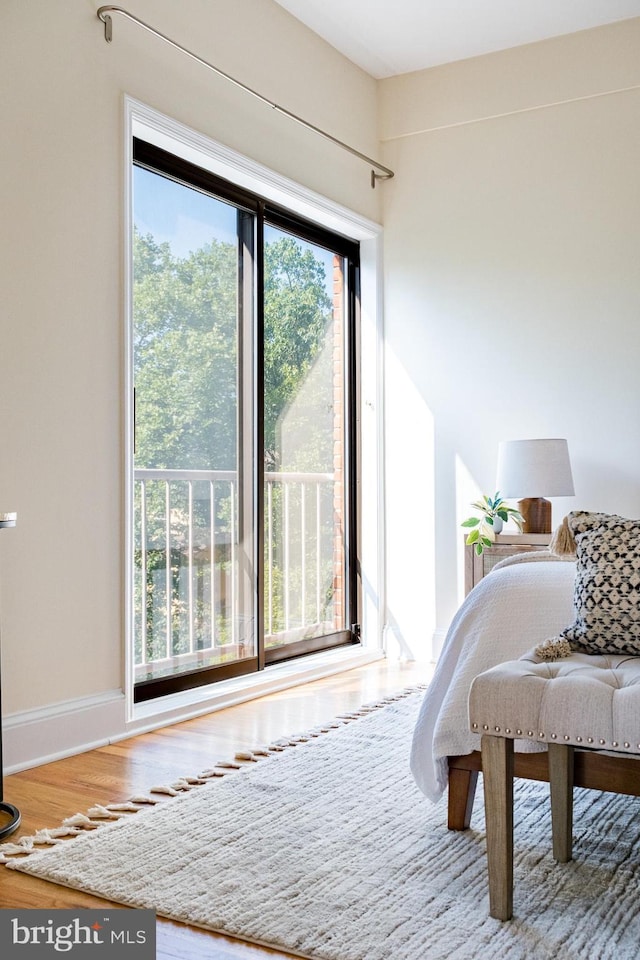 33 Sergeant St, Princeton, NJ 08540 - bedroom featuring wood finished floors and baseboards