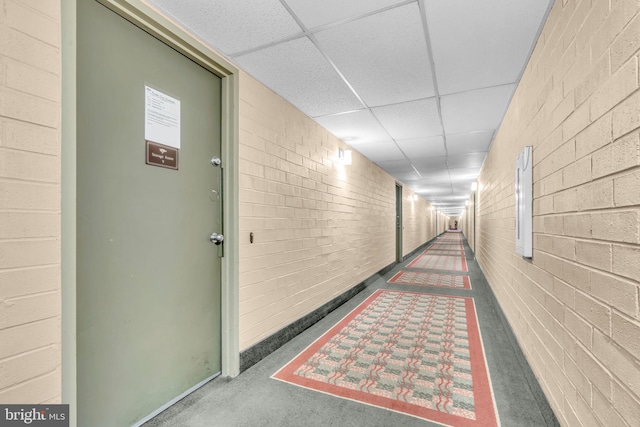 3100 S Manchester St Unit 827, Falls Church, VA 22044 - corridor featuring a paneled ceiling