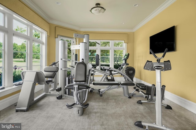 1315 Canal Rd, Princeton, NJ 08540 - gym featuring healthy amount of natural light and crown molding