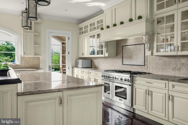 1315 Canal Rd, Princeton, NJ 08540 - kitchen with range with two ovens, plenty of natural light, decorative backsplash, dark stone countertops, and ornamental molding