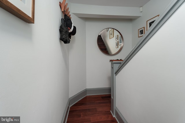 46 Park Pl Unit 3, Princeton, NJ 08542 - staircase with wood finished floors