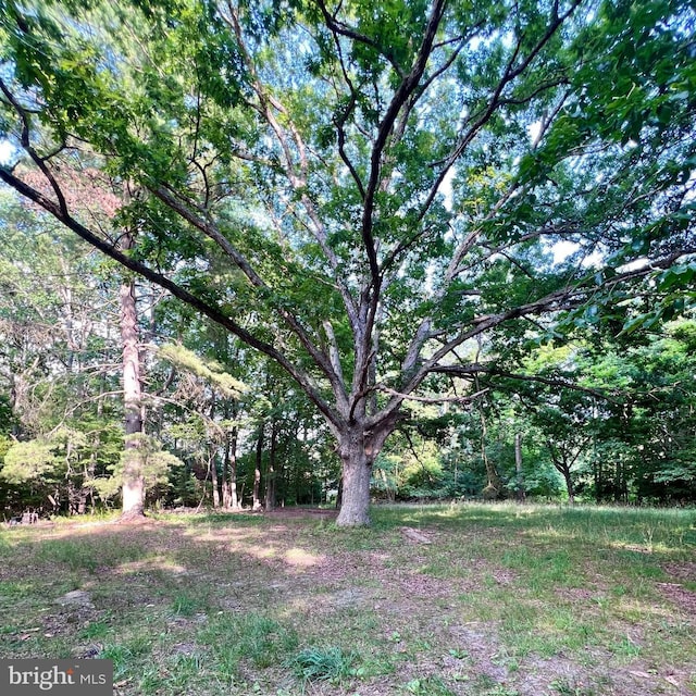 1021 Darmstadt Ave, Egg Harbor City, NJ 08215 - view of yard