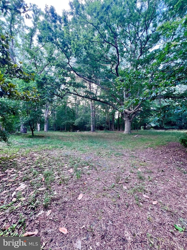 1021 Darmstadt Ave, Egg Harbor City, NJ 08215 - view of yard
