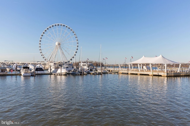157 Fleet St Unit 303, National Harbor, MD 20745 - dock featuring a water view