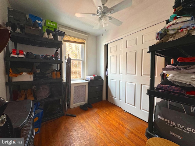1021 Serrill Ave, Lansdowne, PA 19050 - bedroom featuring light wood finished floors, a closet, and a ceiling fan