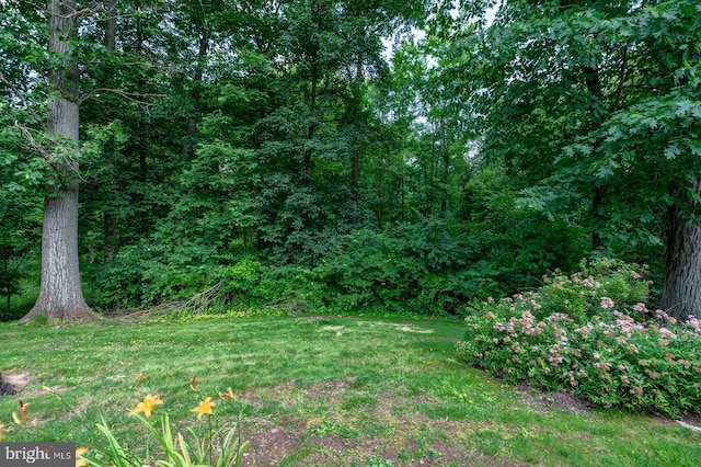 118 Roboda Blvd, Royersford, PA 19468 - view of grassy yard featuring a forest view