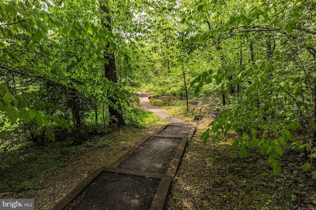 118 Roboda Blvd, Royersford, PA 19468 - view of road with a wooded view