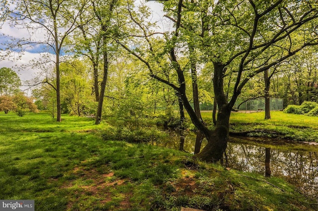 118 Roboda Blvd, Royersford, PA 19468 - view of nature