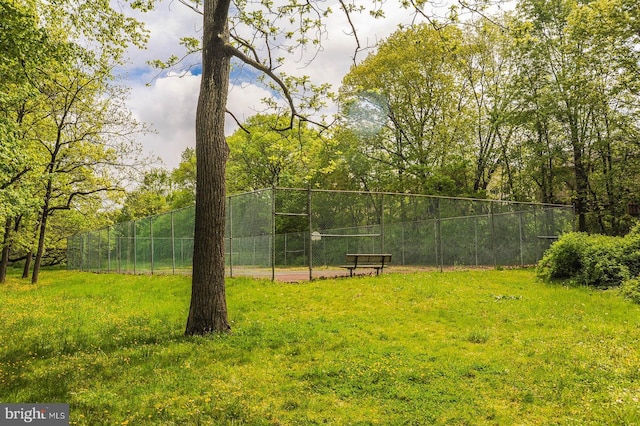118 Roboda Blvd, Royersford, PA 19468 - view of yard