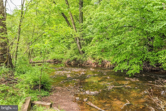 118 Roboda Blvd, Royersford, PA 19468 - view of woods